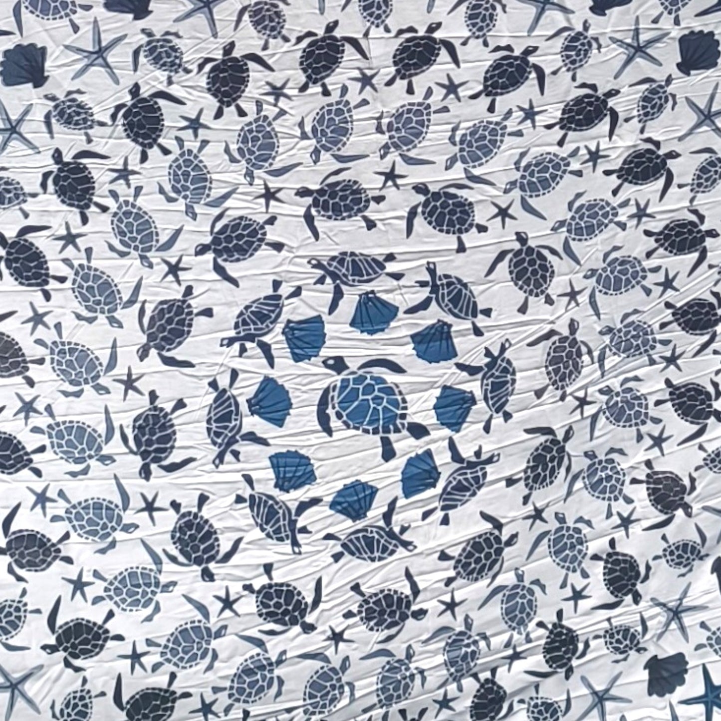 BAHIA