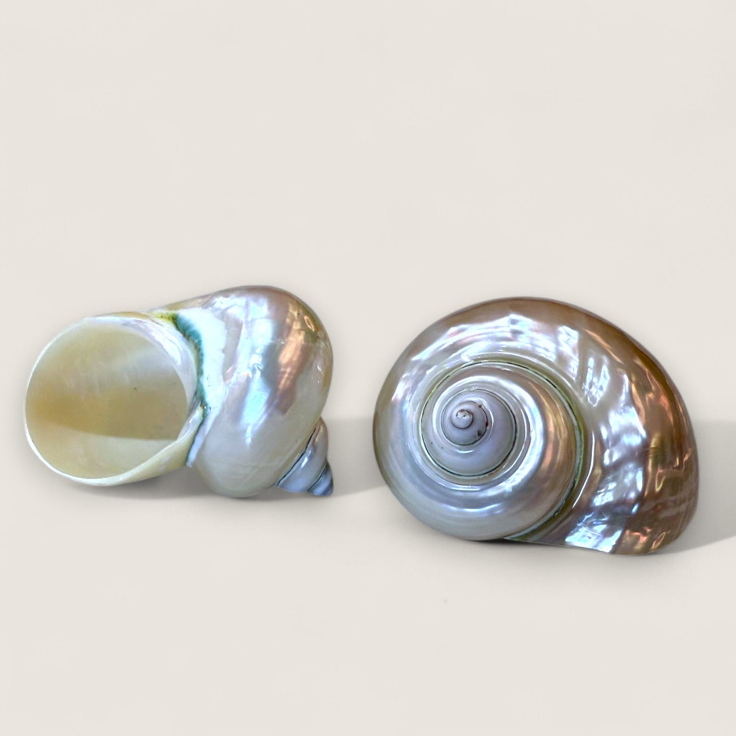 NACARADOS