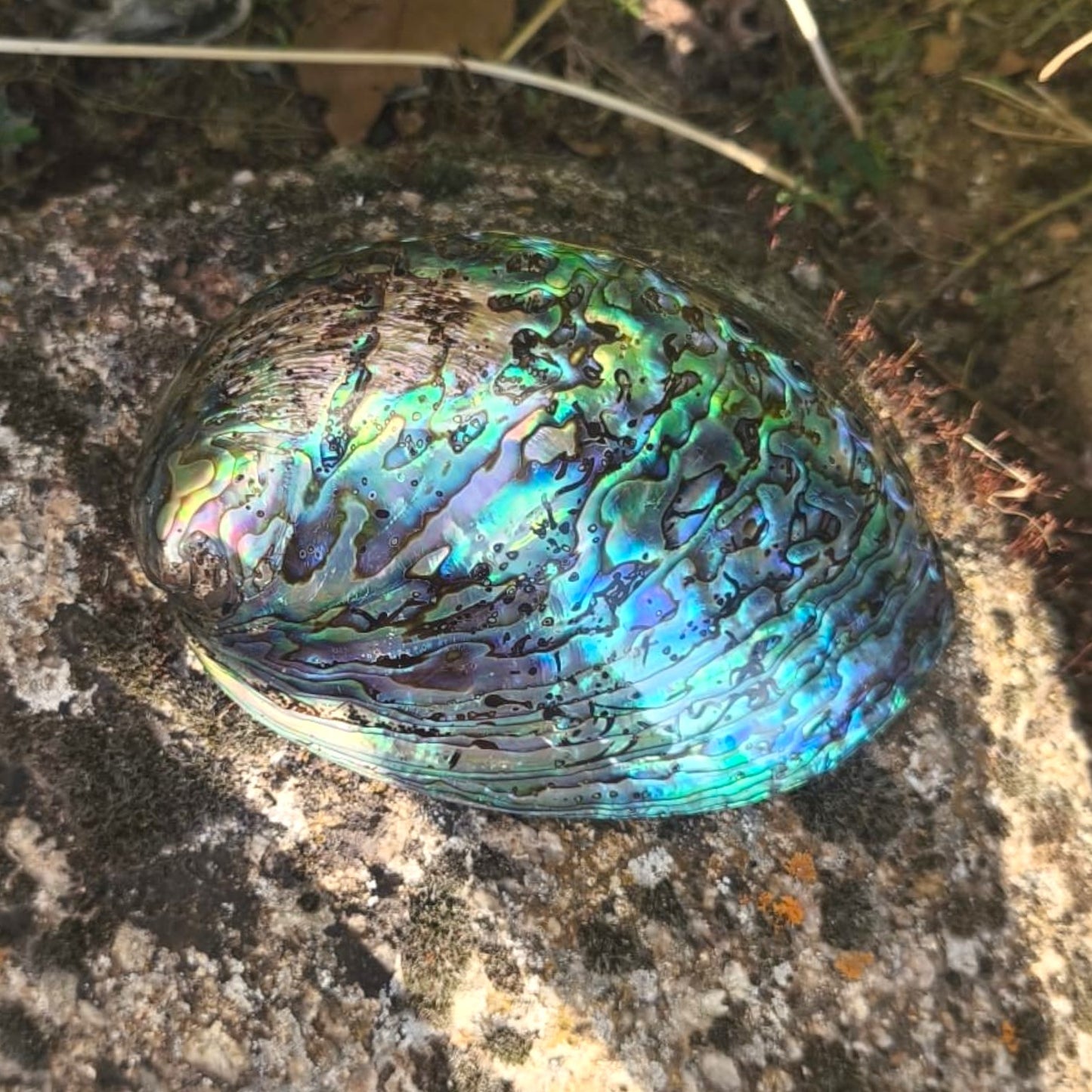 IRIS