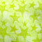 Verde Lima